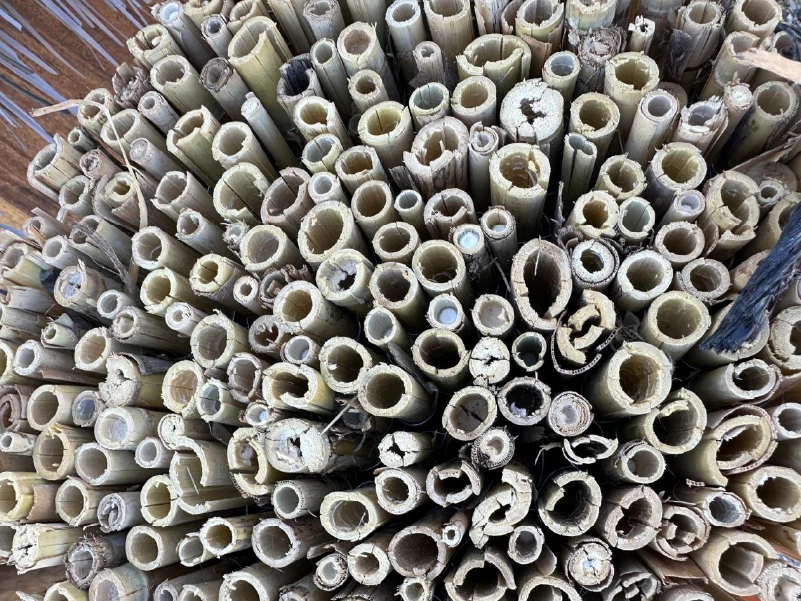 Rollos de caña entera natural para cubiertas, vallados y cerramientos, disponibles en alturas de 1,5m y 2m por 5m de largo - Naturajunco