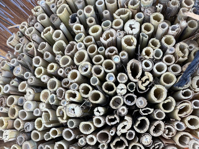 Rollos de caña entera natural para cubiertas, vallados y cerramientos, disponibles en alturas de 1,5m y 2m por 5m de largo - Naturajunco