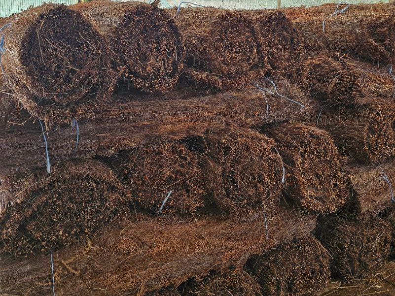 Rollos de brezo natural cosidos con alambre galvanizado, ideales para separación de ambientes, techos y cubiertas, disponibles en 1m, 1,5m y 2m de altura por 3m de largo - Naturajunco
